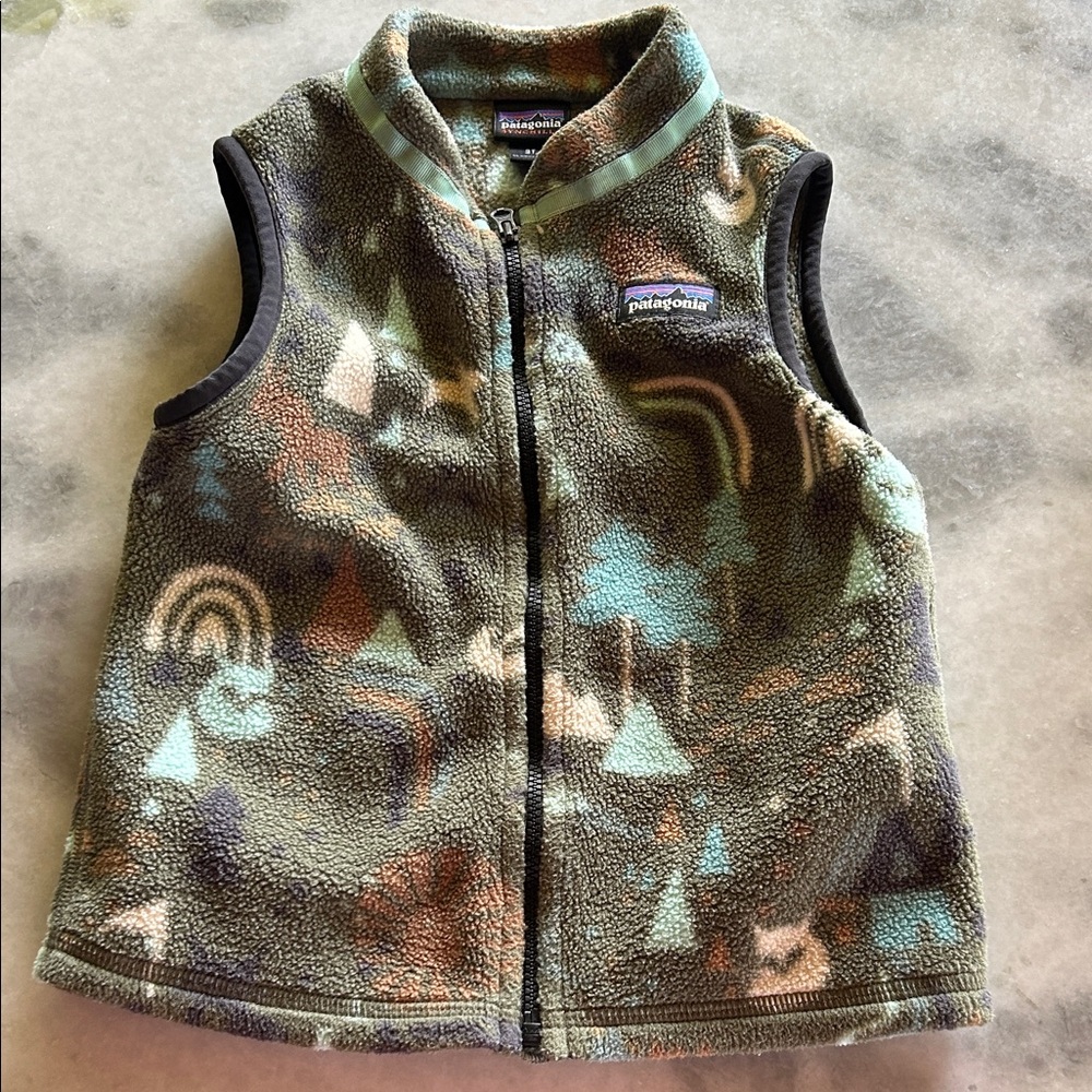 Patagonia Synchilla Fleece Vest in Earth Tones